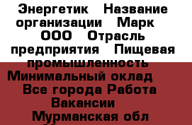 Энергетик › Название организации ­ Марк 4, ООО › Отрасль предприятия ­ Пищевая промышленность › Минимальный оклад ­ 1 - Все города Работа » Вакансии   . Мурманская обл.,Мончегорск г.